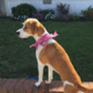 Meet your Posher, Cameron